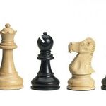 Александр:  Уроки шахмат