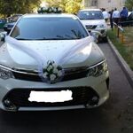 Карп:  Прокат аренда автомобиля на свадьбу Toyota Kamry