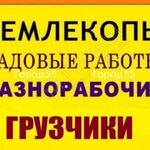 Александр:  Разнорабочие.Демонтаж.Копка.Монолит