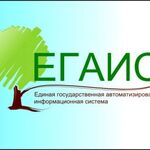 Дмитрий:  Подключение егаис, консультации и настройки 1с