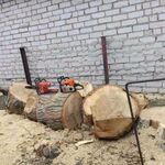 Владислав:  Спил деревьев, уборка территорий