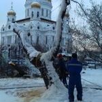 Владимир:  Удаление деревьев