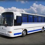 All Bus NN:  Автобус в аренду от 35 до 55 мест