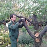Андрей Решетов:  Обрезка деревьев. Опрыскивание.