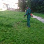 Олег:  Скосим траву тримером бензокосой
