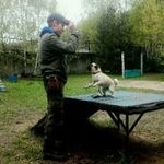 Дмитрий:  Дрессировка собак
