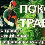 Алексей:  Покос травы, спил деревьев и кустарников