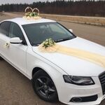 Александр:  Прокат свадебных украшений на авто