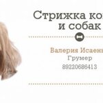 Валерия:  Стрижка кошек и собак ( груминг)