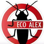 Санобработка "Эко Алекс":  Уничтожим клопов тараканов