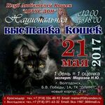 Анжелика:  Выставка кошек