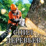 Виктор:  Спил деревьев самара 