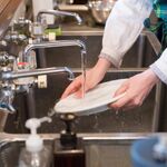 ольга:  посудомойщица разовая услуга