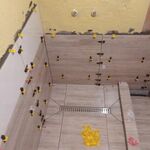 Марат:  Ремонт ванных комнат