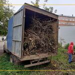 Анатолий Иванович :  Вывоз мусора в жукове 