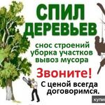 Александр:  Спил деревьев, уборка территории, вывоз мусора