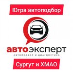 Югра Автоподбор:  Проверка авто перед покупкой Сургут. Автоподбор