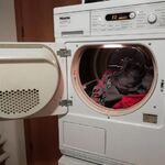 Дмитрий:  Ремонт стиральных и посудомоечных машин на дому, гарантия