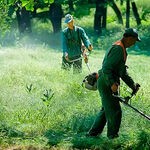 Юлия:  Покос травы на частных участках от 6-50 соток 