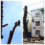 Константин:  Удаление,  спил, обрезка  крон деревьев в Ленинском районе