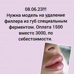 Alina:  Требуются модели