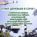 Илья Любимцев:  Спил деревьев/кронирование