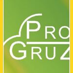 Progruz:  Услуги грузчиков- сборщиков- такелажников Progruz