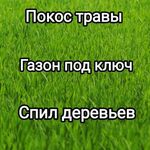 Александр:  Вспашка земли.Покос травы.Спил деревьев 