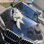 Екатерина:  Прокат свадебных украшений на авто 