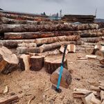 Илья:  Доставка березовых колотых дров