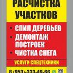 Сергей:  Спил деревьев, чистка снега, расчистка участков