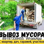 Николай:  Вывоз мусора, вывоз старой мебели, вывоз веток 