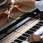 Master Pianino:  Настройка ремонт и реставрация пианино в Димитровграде