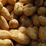 Дмитрий:  Продам картофель