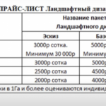 Ксения:  Ландшафтное проектирование