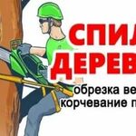 Борис:  СПИЛИМ ДЕРЕВЬЯ. ВЫШКИ. УБОРКА РАСЧИСТКА УЧАСТКОВ. 