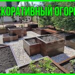 Виктор:  Декоративный огород, модульный сад-огород