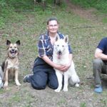 Любовь:  Дрессировка собак в Перми, кинолог