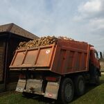 Андрей:  Берёзовые дрова в Серпуховском районе с доставкой.
