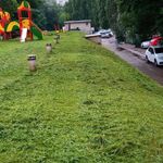 Виталий:  Покос травы Саратов Энгельс дачи