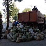 Николай:  Услуги по вывозу любого мусора 