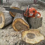Олег:  спил деревьев демонтаж вывоз мусора услуги грузчиков