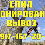 Вячеслав:  Спил деревьев, кронирование, обрезка. Вывоз веток! 