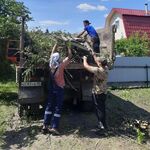 Виктор:  Вывоз веток вывоз сухостоя вывоз мусора с участка