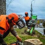 Курск АРБО:  Измельчение веток в щепу и Удаление пней.