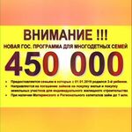 Артур:  Ипотечный капитал 450000