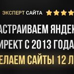 Наиль Яндекс Директолог:  Настройка рекламы в Яндекс Директе в Курске