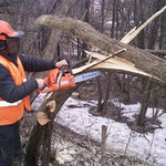 Сергей:  Спил деревье в Навашино и Навашинском районе