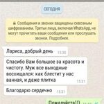 Лариса:  Честная уборка квартир и дачных домов 