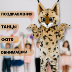Дарья:  Ростовая кукла аниматор котёнок 